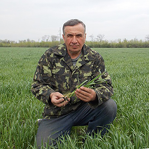 Фермер Микола Попов запорукою високих врожаїв вважає елітні сорти зернових. Фото Миколи Пасічника